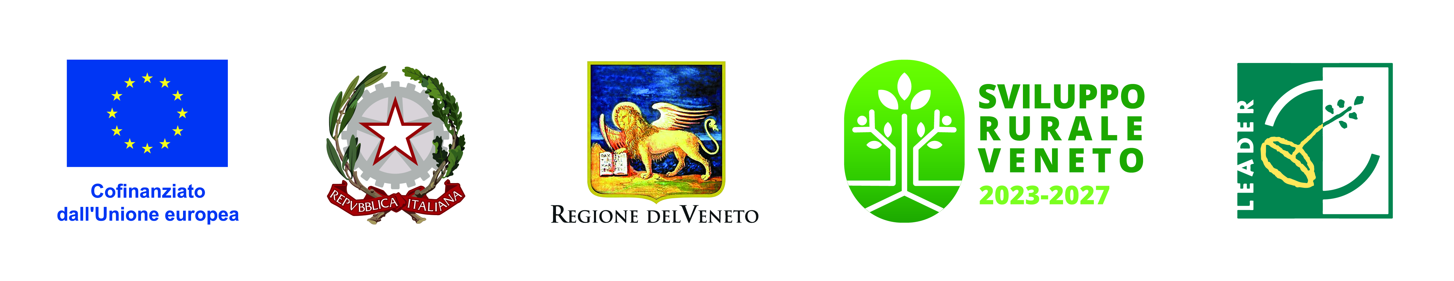 Consulta la pagina del progetto